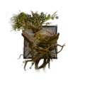 Thumbnail for version as of 14:57, 9 August 2017