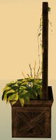 Lattice Planter with Blue Petunias side.jpg