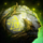 Maguuma Shield.png