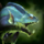 Payara.png