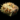 Stolen Sack of Feed.png