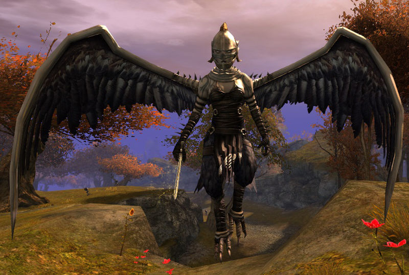File:Young Harpy.jpg