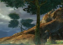 Big Mayana's Suspicious tree.jpg