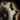 Cog.png