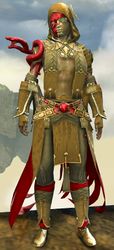 Funerary armor (light) sylvari male front.jpg