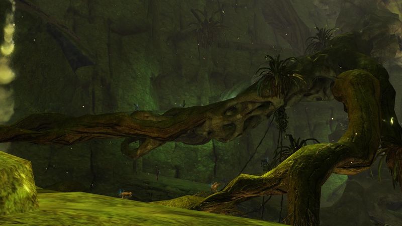 File:Gnarled Roots.jpg