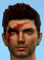 Mask of the Wanderer.jpg