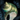 Mellaggan's Whorl.png