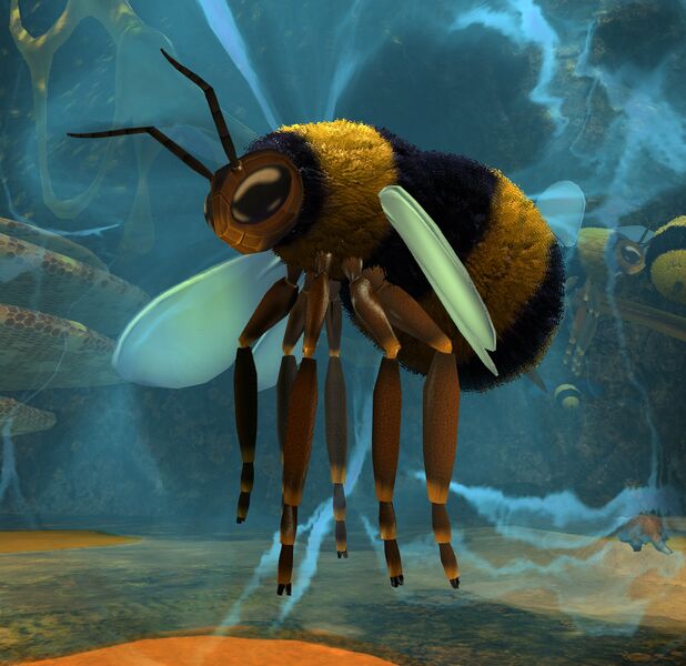 File:Queen Bee.jpg