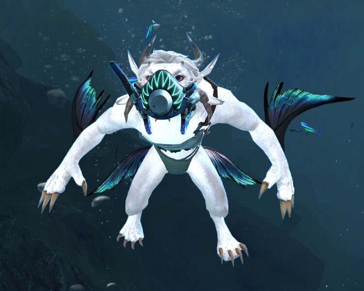 File:Selachimorpha charr (Front).jpg