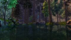 Tarn of True Sight.jpg