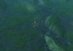 XIV- Patience location.jpg