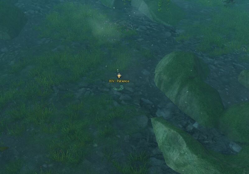 File:XIV- Patience location.jpg