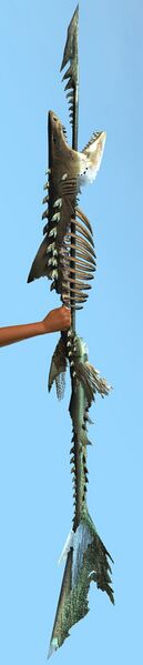 File:Carcharias.jpg