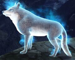 Ghostly Wolf.jpg