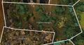 Thumbnail for version as of 02:54, 11 May 2025