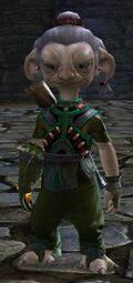 Lopp.jpg