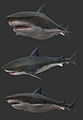 Render of a shark.