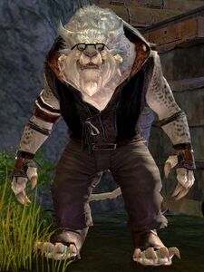 Van Leopard.jpg