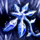 A Flower for Liriodendron.png