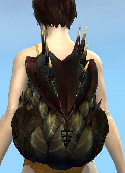 File:Canach's Backpack.jpg