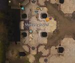 Case 382 Titan Organ Smuggling map 3.jpg