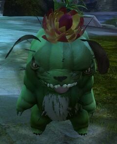 Dog (choya).jpg