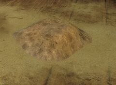 Dust Pile.jpg