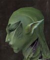 Exclusive face - sylvari male 6 side.jpg