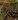 Gnashar's Hills map.jpg