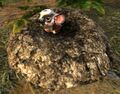 Thumbnail for version as of 12:25, 28 July 2024