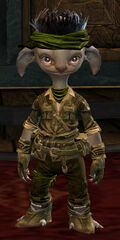 Guild Initiative asura male.jpg