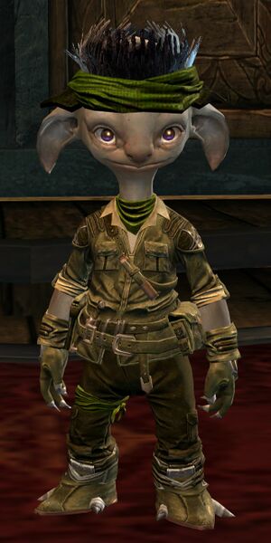 File:Guild Initiative asura male.jpg