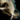 Large Skull.png