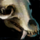 Large Skull.png