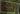Overlord's Greatcamp map.jpg