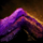 Pile of Jacarandere.png