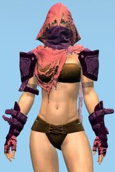 Rot Stalker armor norn female front.jpg