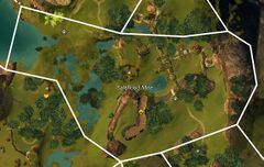 Saltflood Mire map.jpg