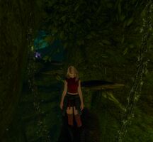 Spelunker's Dim.jpg