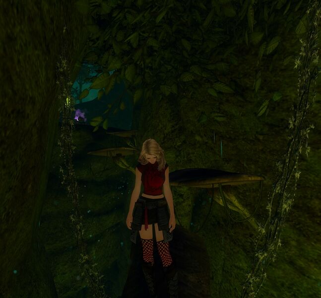 File:Spelunker's Dim.jpg