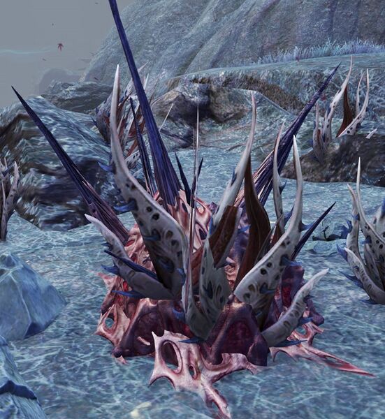 File:Spike Bush.jpg