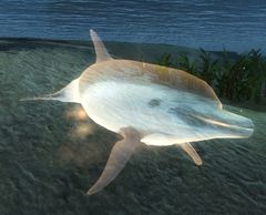 Stone Spirit (underwater).jpg