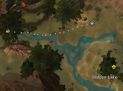 Work Hard for Now Brisban Wildlands.jpg