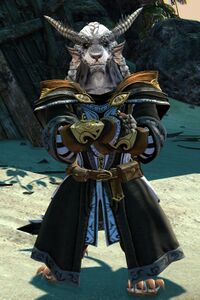 Astral Ward Protector charr male 1 (crossed arms).jpg