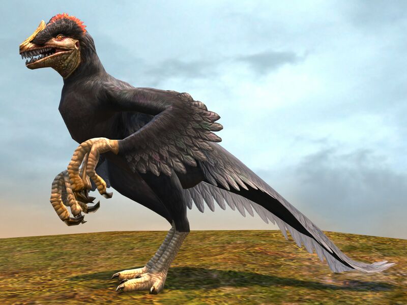 File:Black Raptor.jpg