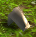 Thumbnail for version as of 09:04, 12 March 2016