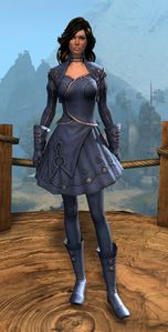 Appearance on light armor.