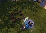 Fantastic Flying Foxes 07 location.jpg