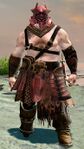 Freebooter norn male 1.jpg